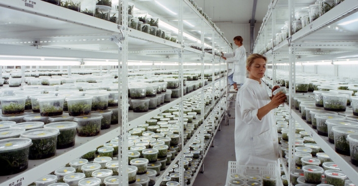 Hark Orchideenzucht Lippstadt (2)