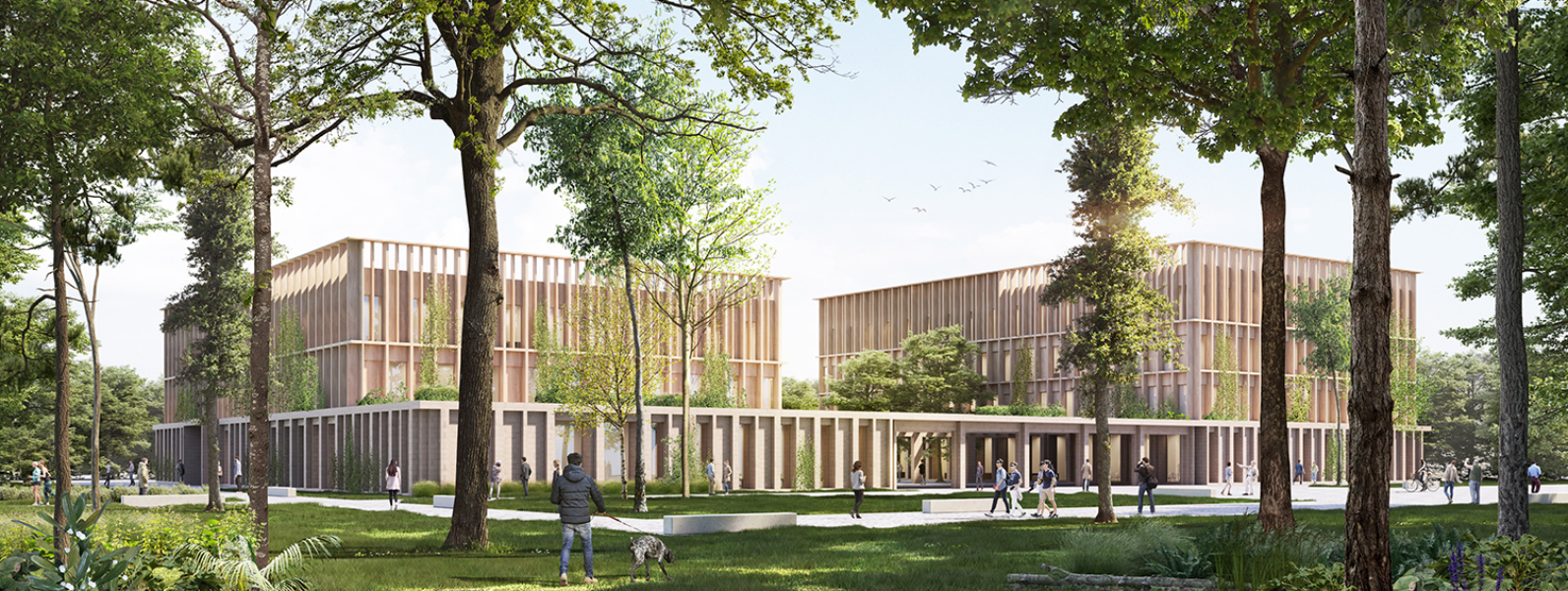 Außenperspektive Geschäftsstelle in Stolpe | SHA Scheffler Helbich Architekten